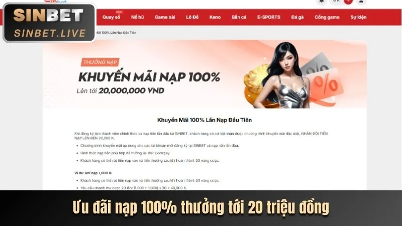 Thu thập thông tin người dùng 555winto